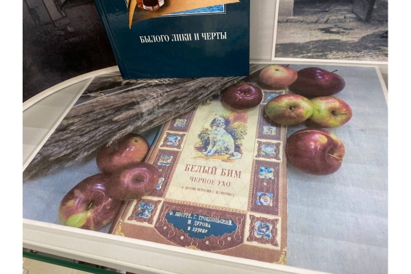 Яблони, посаженные писателем, плодоносят до сих пор